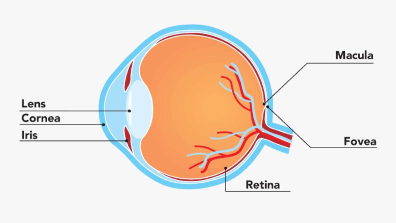 GA Eye Disease