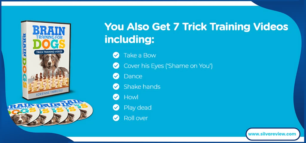 Brain Training for Dogs