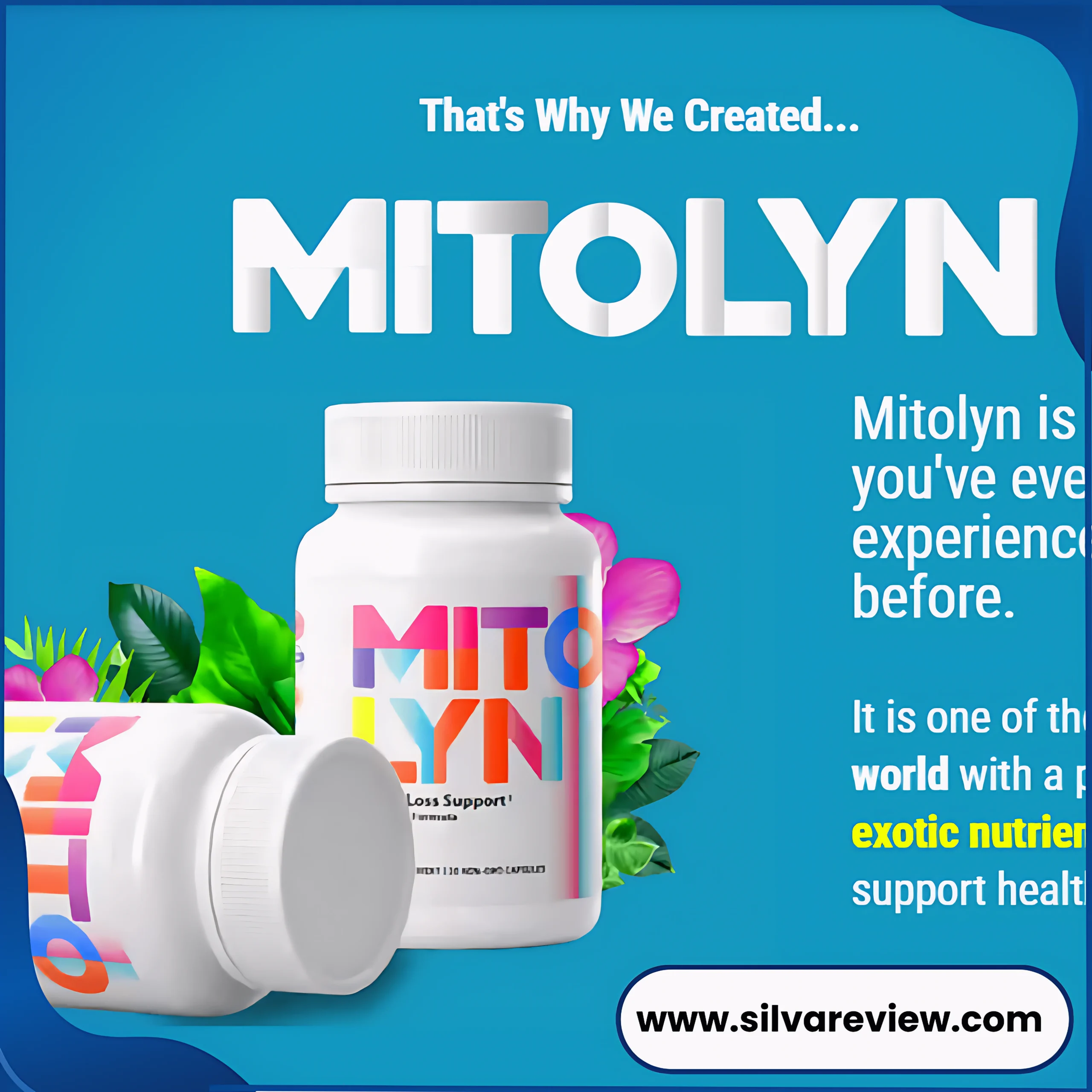 MITOLYN