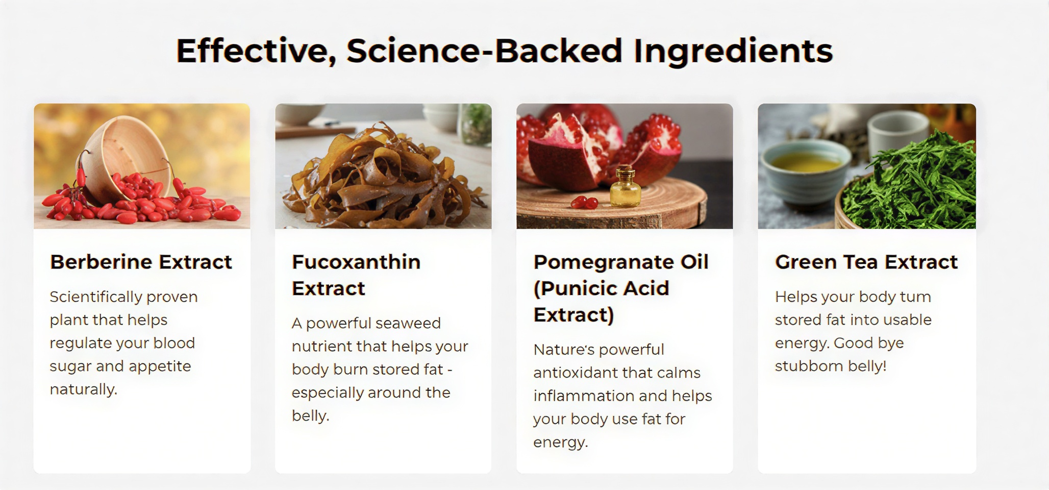 Purisaki Berberine Patches